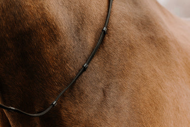 Norton Club - Oily - Strap Reins| Online For Equine