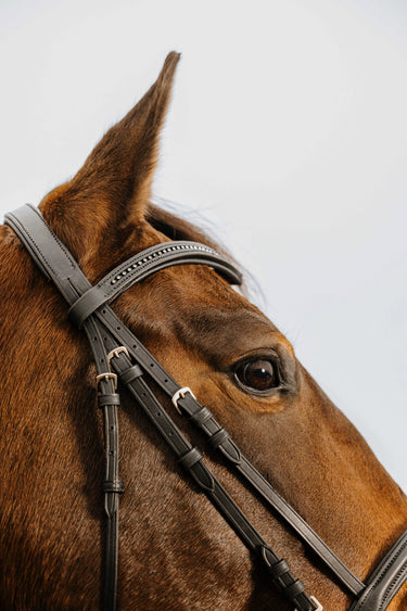 Norton Club - Strass V - Bridle| Online For Equine