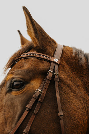 Norton Club - Strass V - Bridle| Online For Equine