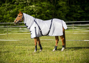 Buy Norton Combo Mesh Fly Rug| Online for Equine