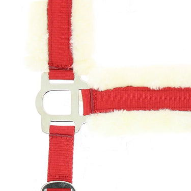 Norton Comfort Headcollar| Online For Equine