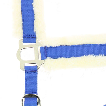 Norton Comfort Headcollar| Online For Equine