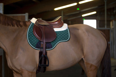 Norton Comfort Saddle Pad/Back Pad| Online For Equine