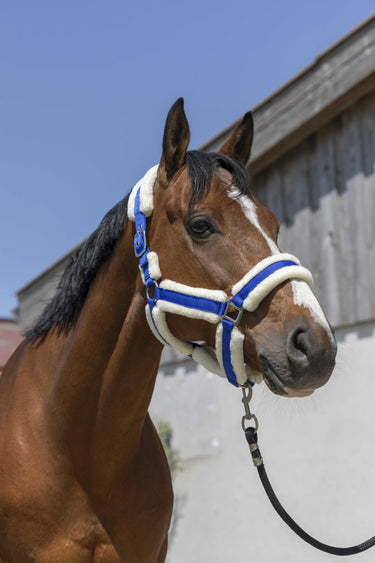 Norton Cosy Headcollar| Online For Equine