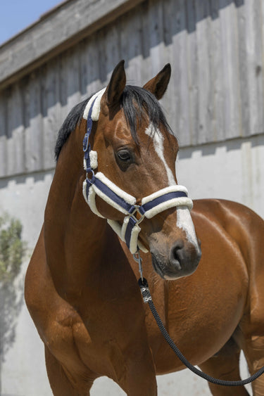 Norton Cosy Headcollar| Online For Equine