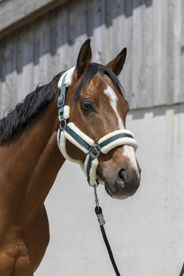 Norton Cosy Headcollar| Online For Equine