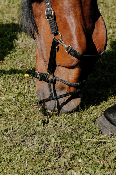 Norton Educatif Headcollar