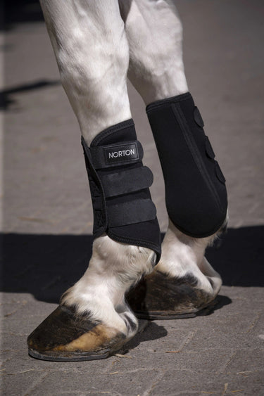 Norton Elastic Tendon Boots| Online For Equine
