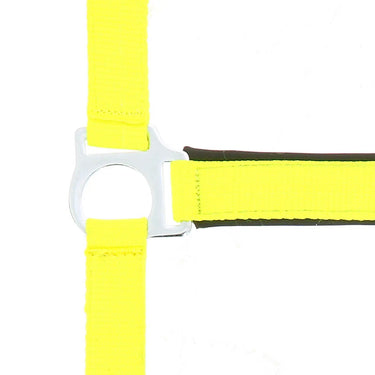 Norton Fluo Lined Headcollar| Online For Equine