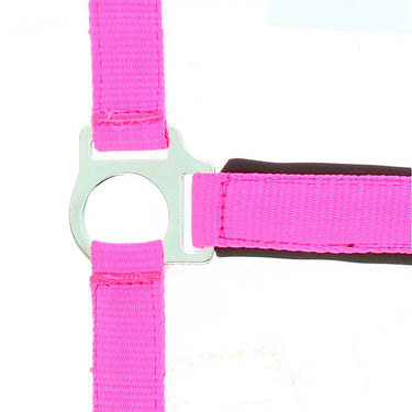 Norton Fluo Lined Headcollar| Online For Equine