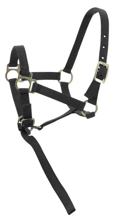 Norton Foal Headcollar & Lead Rope| Online For Equine