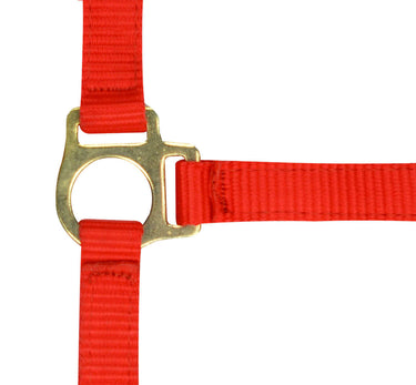 Norton Foal Headcollar & Lead Rope| Online For Equine