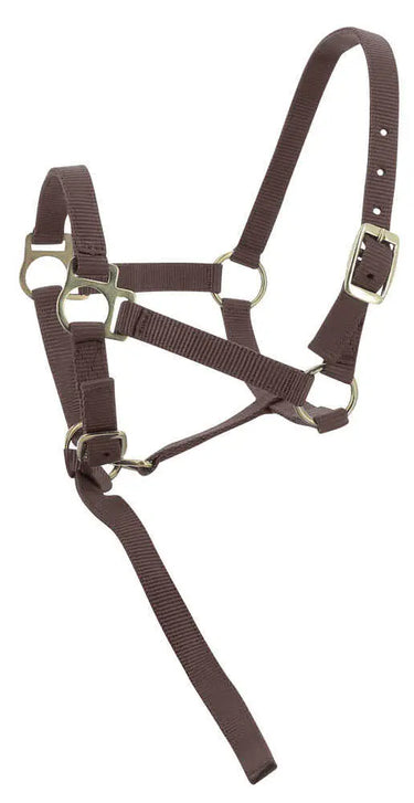 Norton Foal Headcollar & Lead Rope| Online For Equine