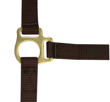 Norton Foal Headcollar & Lead Rope| Online For Equine