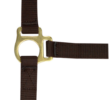 Norton Foal Headcollar & Lead Rope| Online For Equine