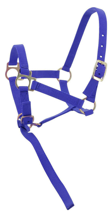 Norton Foal Headcollar & Lead Rope| Online For Equine