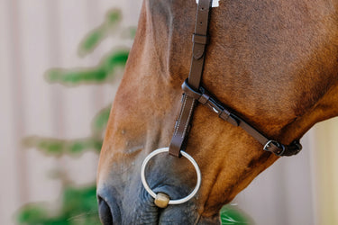 Norton - Freedom - Bridle| Online For Equine