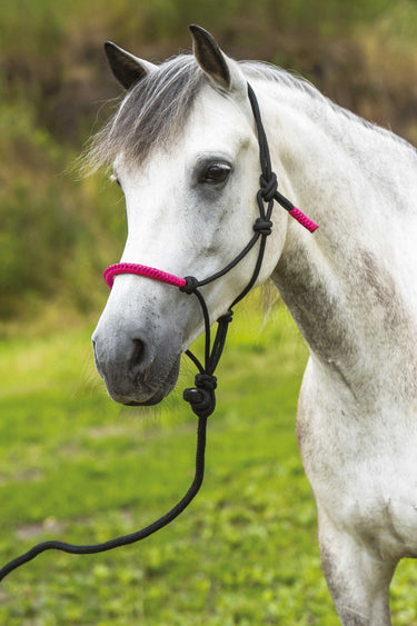 Norton Fun Colour Ethological Headcollar & Lead Rope| Online For Equine
