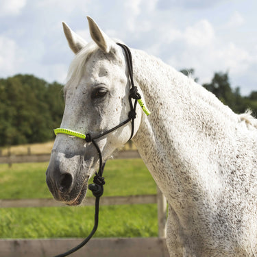 Norton Fun Colour Ethological Headcollar & Lead Rope| Online For Equine