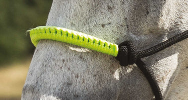 Norton Fun Colour Ethological Headcollar & Lead Rope| Online For Equine