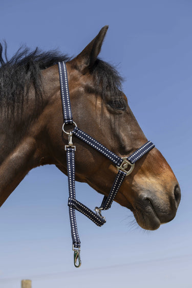 Norton Grooming Headcollar| Online For Equine