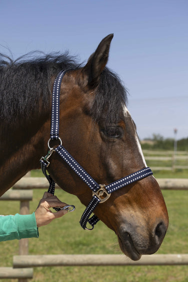 Norton Grooming Headcollar| Online For Equine