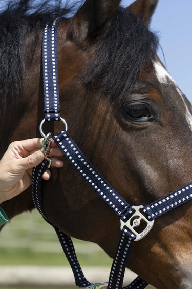 Norton Grooming Headcollar| Online For Equine