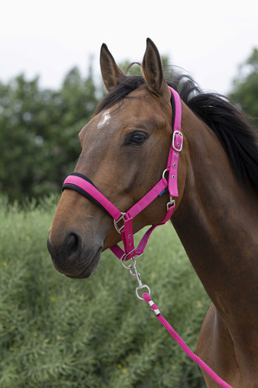 Norton Large Headcollar & Lead Rope| Online For Equine