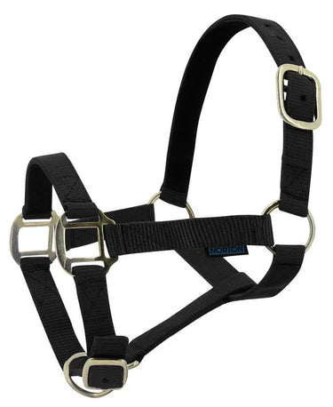 Norton Leather Lined Nylon Headcollar| Online For Equine