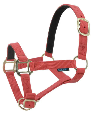 Norton Leather Lined Nylon Headcollar| Online For Equine