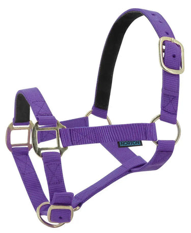 Norton Leather Lined Nylon Headcollar| Online For Equine