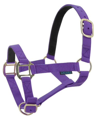 Norton Leather Lined Nylon Headcollar| Online For Equine