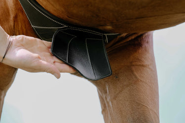 Norton - Magnet - Anatomical Girth| Online For Equine