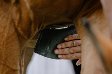 Norton - Magnet - Anatomical Girth| Online For Equine