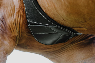 Norton - Magnet - Anatomical Girth| Online For Equine