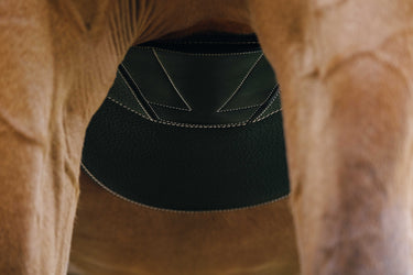 Norton - Magnet - Girth| Online For Equine