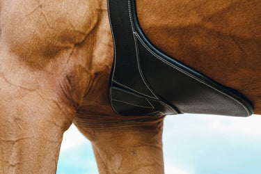 Norton - Magnet - Girth| Online For Equine