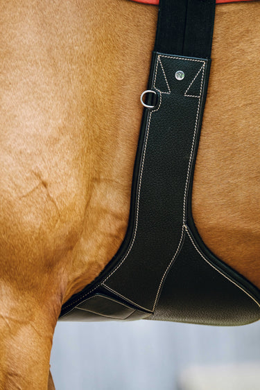 Norton - Magnet - Girth| Online For Equine