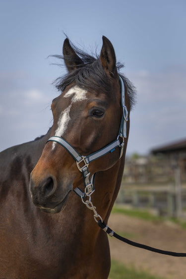 Norton Nylon Soft Headcollar| Online For Equine