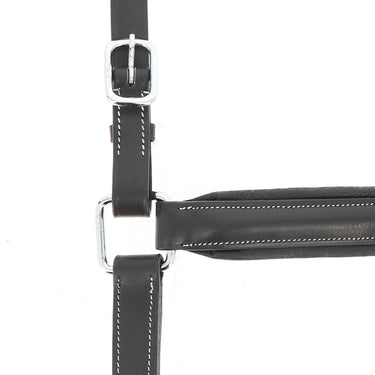 Norton Pro Anatomical Head Collar| Online For Equine