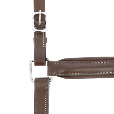 Norton Pro Anatomical Head Collar| Online For Equine