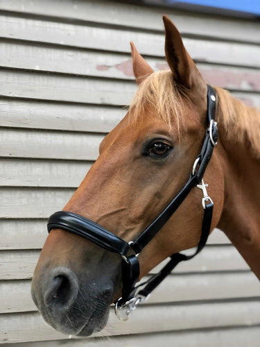 Norton Pro Anatomical Head Collar| Online For Equine