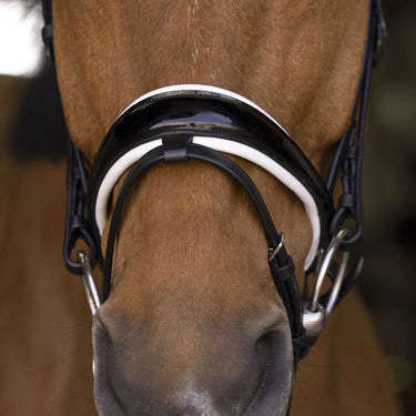 Norton Pro - Bella - Bridle| Online For Equine