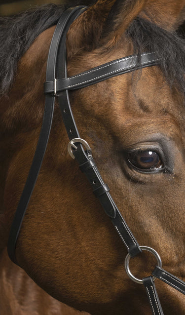 Norton Pro - Confort - Side-Pull| Online For Equine
