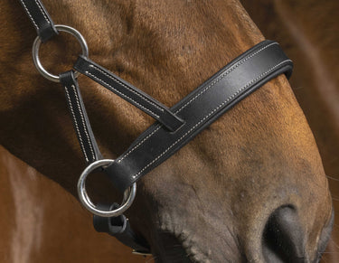 Norton Pro - Confort - Side-Pull| Online For Equine