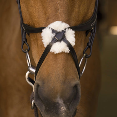 Norton Pro Crossed Noseband Bridle| Online For Equine