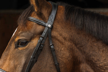 Norton Pro - Dark - Bridle| Online For Equine