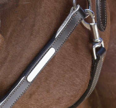 Norton Pro Grooming Leather Headcollar| Online For Equine