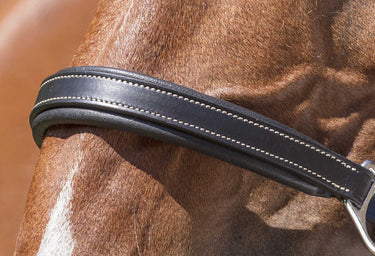 Norton Pro Grooming Leather Headcollar| Online For Equine