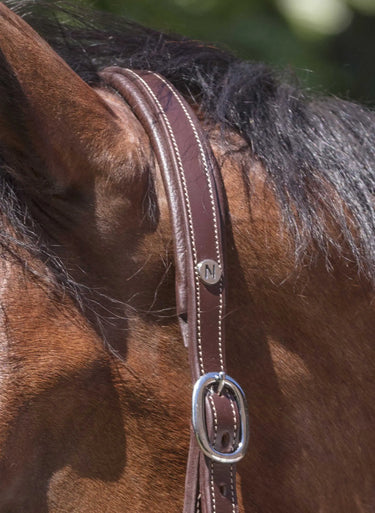 Norton Pro Grooming Leather Headcollar| Online For Equine